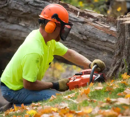 tree services Herald Harbor